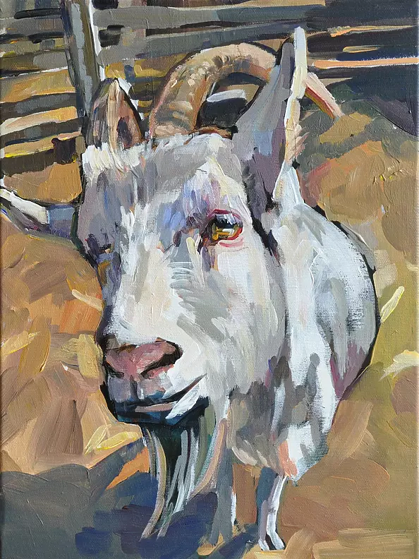 Magdalena Szpyt - Koza 