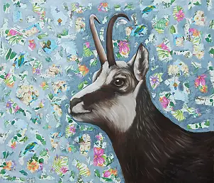 Amelia Augustyn - Goat II