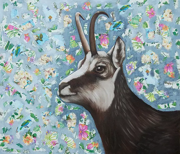 Amelia Augustyn - Goat II