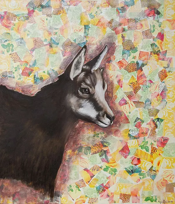 Amelia Augustyn - Kozica