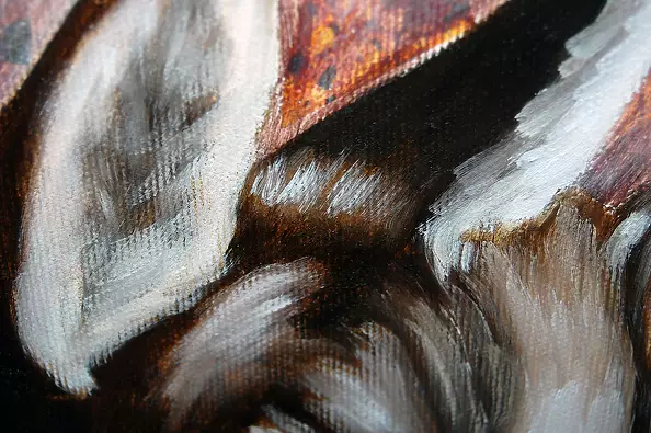 Amelia Augustyn - Kozica