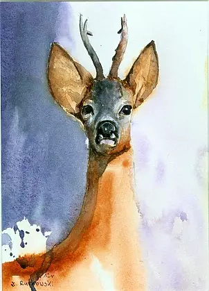 Zdzisław Rutkowski - flip-flap