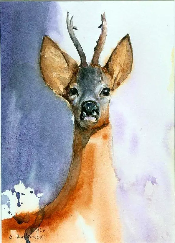 Zdzisław Rutkowski - Koziołek