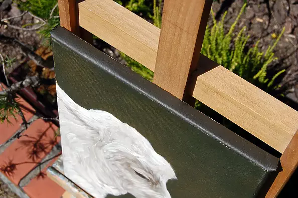 Amelia Augustyn - Koźlątko