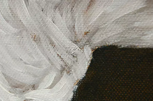 Amelia Augustyn - Koźlątko