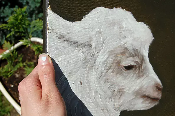 Amelia Augustyn - Koźlątko