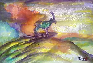 Marzena Salwowska - Capre che hanno raggiunto livelli elevati.../3