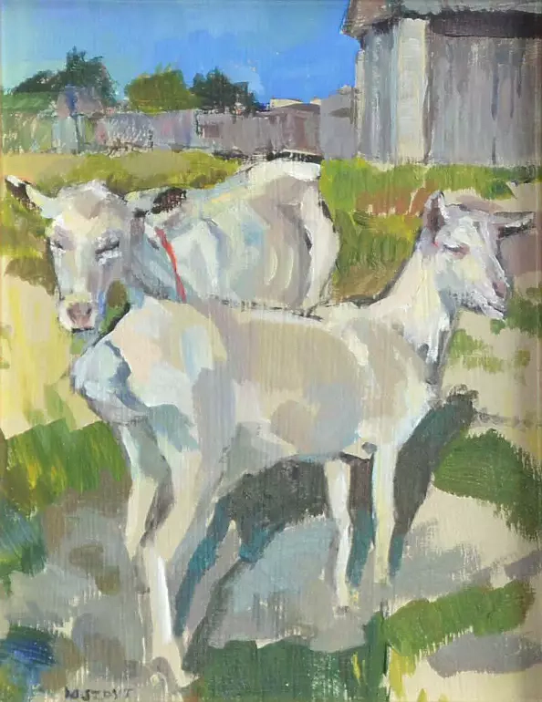 Magdalena Szpyt - Kozy