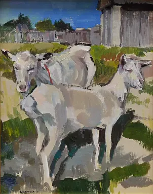 Magdalena Szpyt - Kozy