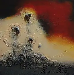 Katarzyna Piątkowska, Земля Mrówkomysza II, Акрилова картина - холст, 30 x 30