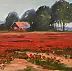 Krzysztof Kloskowski - Polish landscape - poppy field