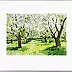Jaroslaw Filipek - Польские пейзажи, Цветущие вишни (37)