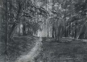 Witold Kubicha - Krakow - Wolski Forest