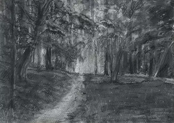 Witold Kubicha - Krakow - Wolski Forest