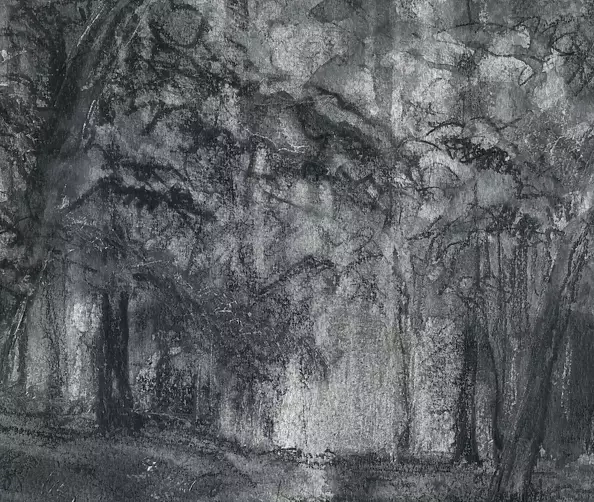 Witold Kubicha - Krakow - Wolski Forest