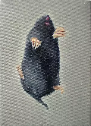   - Mole cycle charms still life