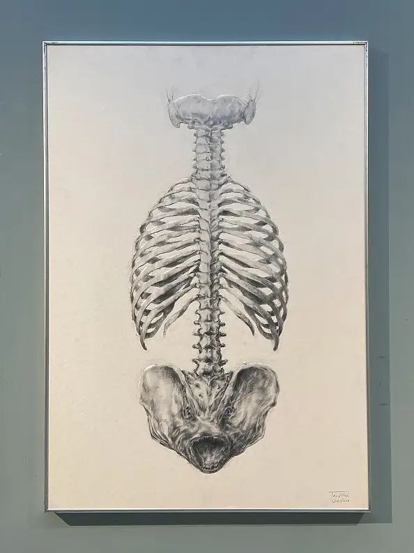 Wiesław Teofilak, Moral backbone, Other, Pencil - cardboard/paperboard, 70 x 100
