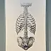 Wiesław Teofilak, Moral backbone, Other, Pencil - cardboard/paperboard, 70 x 100