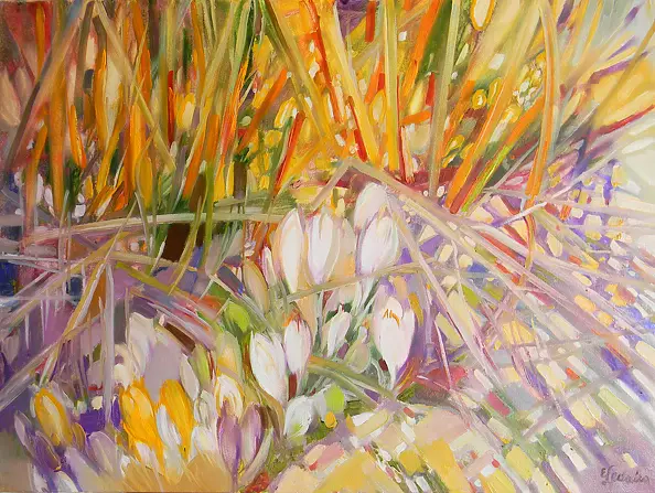 Elżbieta Ledecka - crocuses
