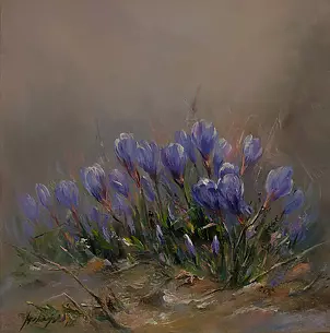 Jarosław Jędrzejski - crocuses