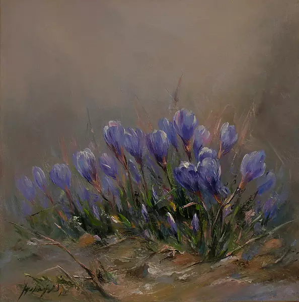 Jarosław Jędrzejski - crocuses