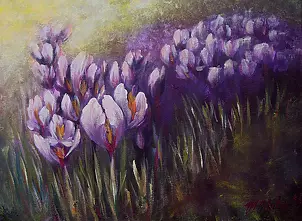   - Crocuses first flowers