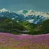 Jacek Siedlec - Crocuses in the Tatras