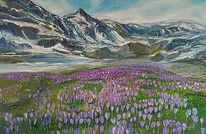 Jadwiga Rudnicka - Crocuses in the mountains