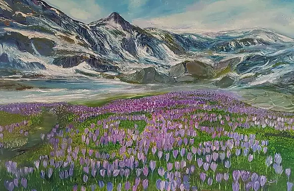 Jadwiga Rudnicka - Crocuses in the mountains