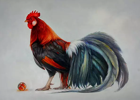 Marzena Zuk - The king Rooster