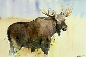 Zdzisław Rutkowski - King of swamps Biebrza