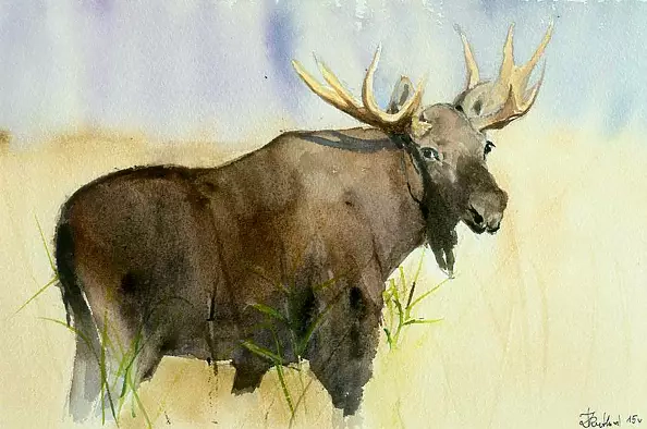 Zdzisław Rutkowski - King of swamps Biebrza