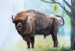 Zdzisław Rutkowski - Król puszczy 