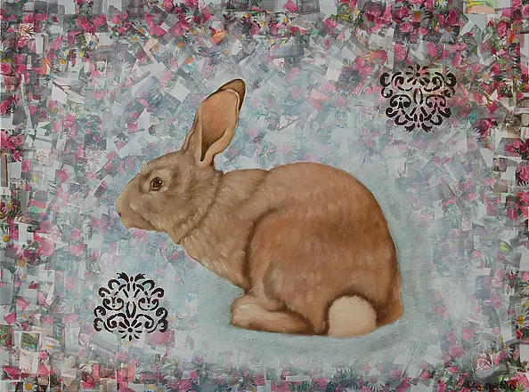 Amelia Augustyn - Rabbit