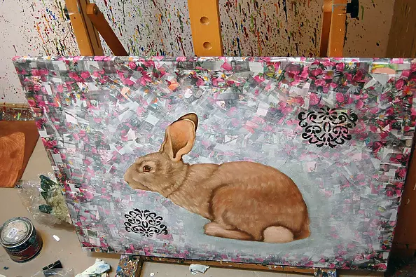 Amelia Augustyn - Rabbit