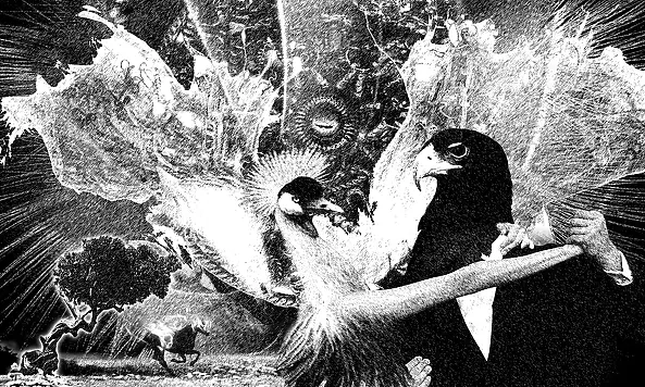 Adam Kurłowicz - Queen of the ball