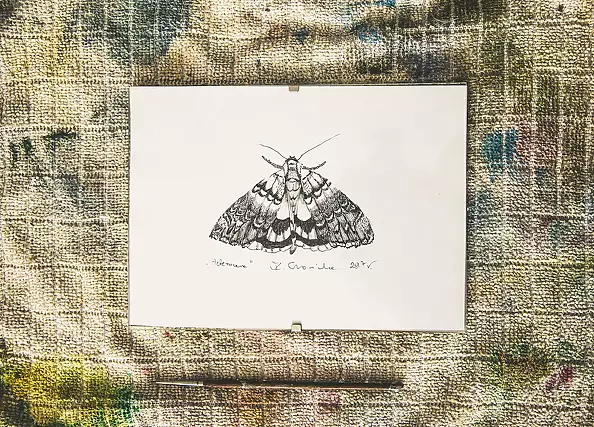 Marzena Czaniecka - Night Queen