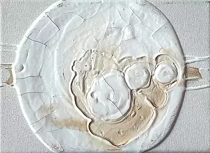 Małgorzata Mitka - Drop