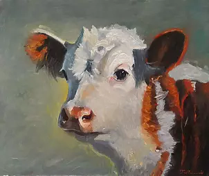   - Cow