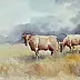 Michalina Derlicka - cows