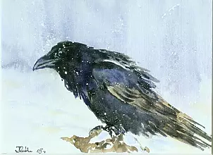 Zdzisław Rutkowski - Kruk II