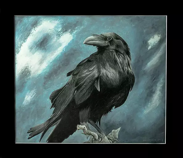 Michał Głowacki - Kruk