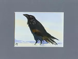 Zdzisław Rutkowski - Raven