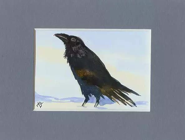 Zdzisław Rutkowski - Raven