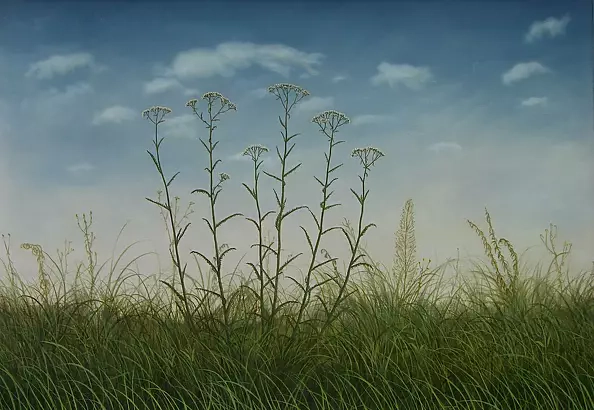 Dariusz Król - Milfoil