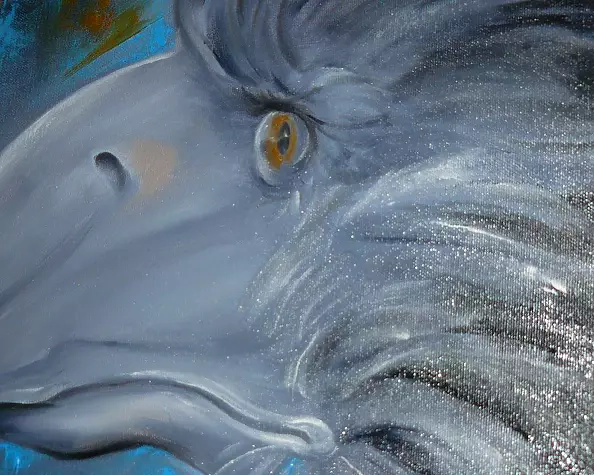 Iwona Wierkowska-Rogowska - Hide