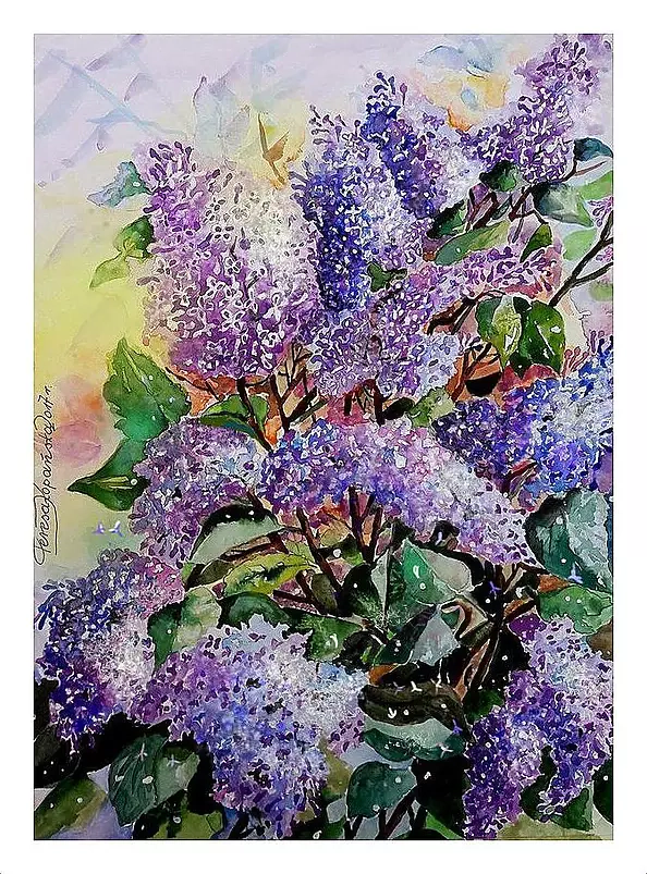 Teresa Kopańska - Lilac shrub
