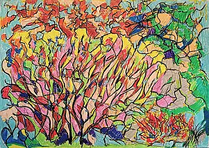 Mikołaj Jackiewicz - Krzewy