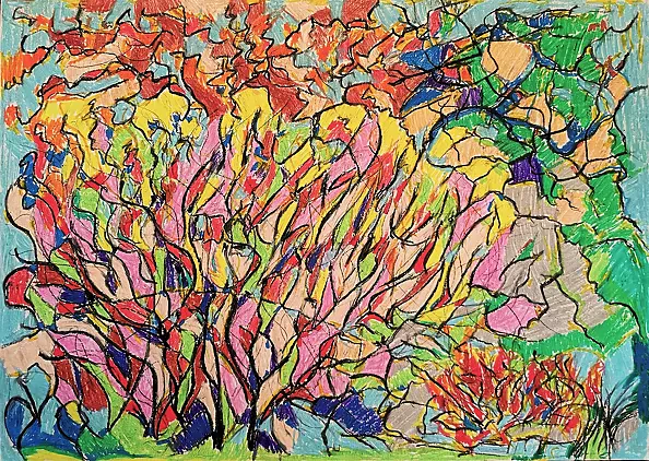 Mikołaj Jackiewicz - Shrubs