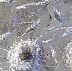 Krzysztof Trzaska - Кшиштоф Трзаска, Одуванчики из серии Польские пейзажи, акрил / холст, 95x135, 2016